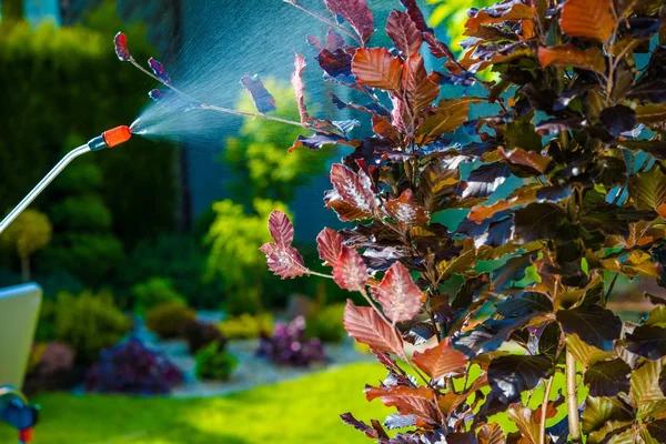 Patriot Pest Control for a Cleaner and Safer Environment